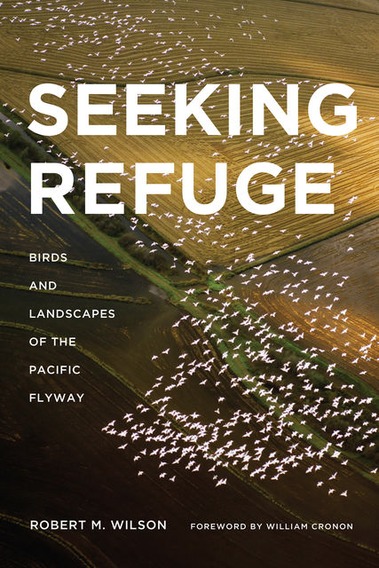 Seeking Refuge, Robert Wilson