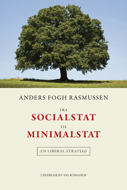 Fra socialstat til minimalstat, Anders Fogh Rasmussen
