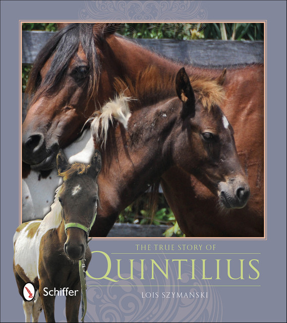 The True Story of Quintilius, Lois Szymanski