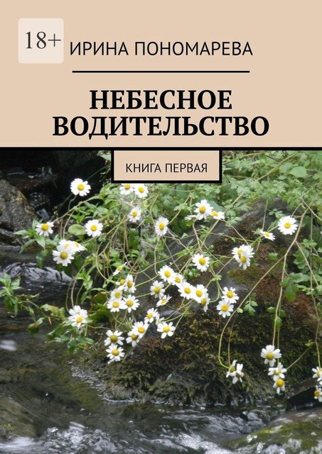 Небесное водительство. Книга первая, Ирина Пономарева