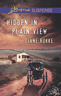 Hidden in Plain View, Diane Burke