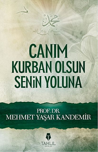 Canım Kurban Olsun Senin Yoluna, Mehmet Yaşar Kandemir