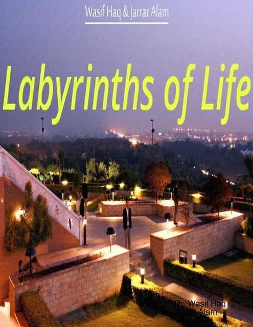 Labyrinths of Life, Jarrar Alam, Wasif Haq