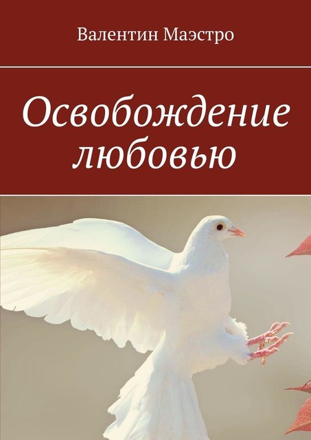 Освобождение любовью, Маэстро Валентин