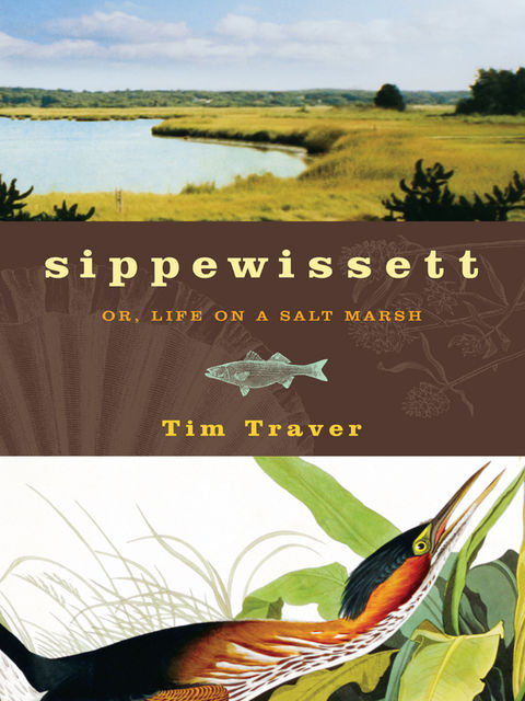 Sippewissett, Tim Traver