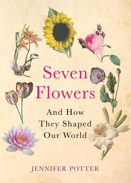 Seven Flowers, Jennifer Potter