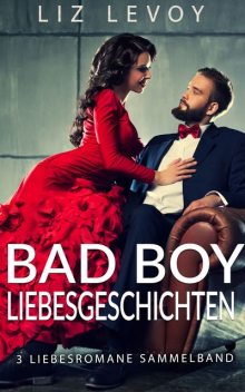 Bad Boy Liebesgeschichten, Liz Levoy