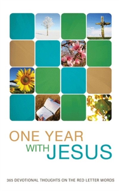 One Year with Jesus, James Davey