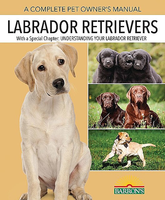 Labrador Retrievers, Joan Walker