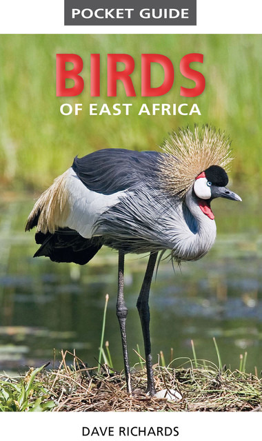 Pocket Guide to Birds of East Africa, Dave Richards