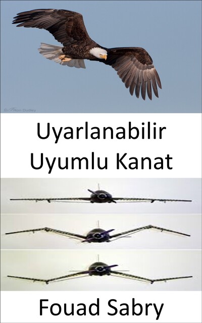 Uyarlanabilir Uyumlu Kanat, Fouad Sabry