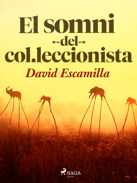 El somni del col·leccionista, David Escamilla Imparato