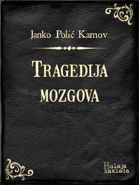 Tragedija mozgova, Janko Polić Kamov