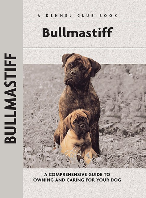 Bullmastiff, Juliette Cunliffe