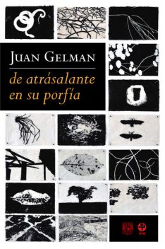 de atrásalante en su porfía, Juan Gelman