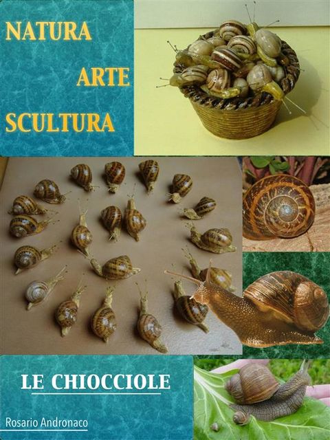 Natura Arte Scultura – Le Chiocciole, Rosario Andronaco