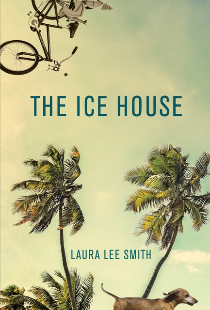 The Ice House, Laura Smith
