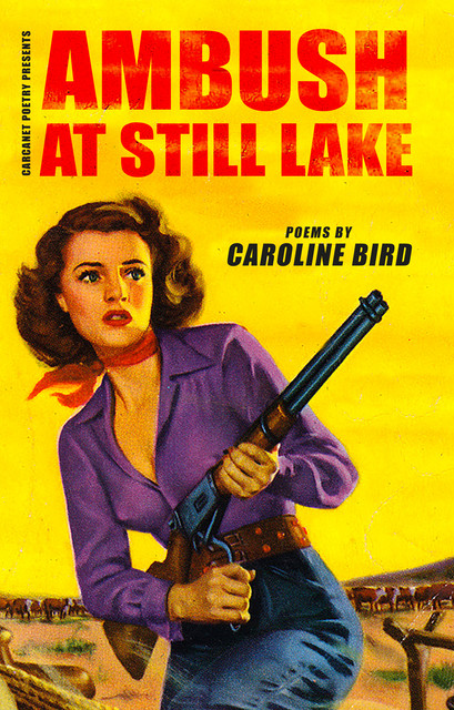 Ambush at Still Lake, Caroline Bird