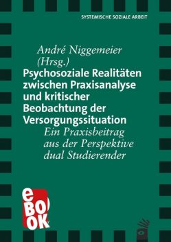 Psychosoziale Realitäten zwischen Praxisanalyse und kritischer Beobachtung der Versorgungssituation, André Niggemeier