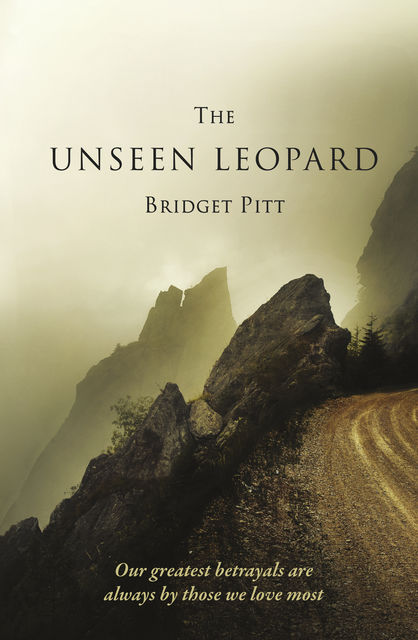 The Unseen leopard, Bridget Pitt