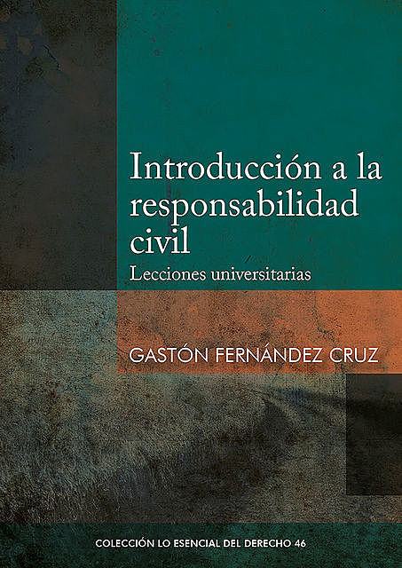 Introducción a la responsabilidad civil, Gastón Fernández