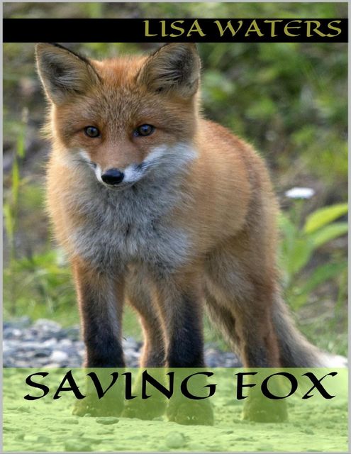 Saving Fox, Lisa Waters