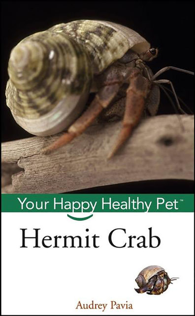 Hermit Crab, Audrey Pavia