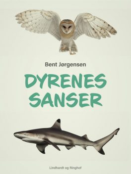 Dyrenes sanser, Bent Jörgensen