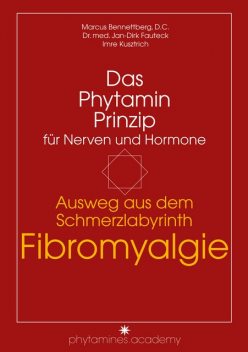 Ausweg aus dem Schmerzlabyrinth Fibromyalgie, D.C., Imre Kusztrich, med. Jan-Dirk Fauteck, Marcus Bennettberg