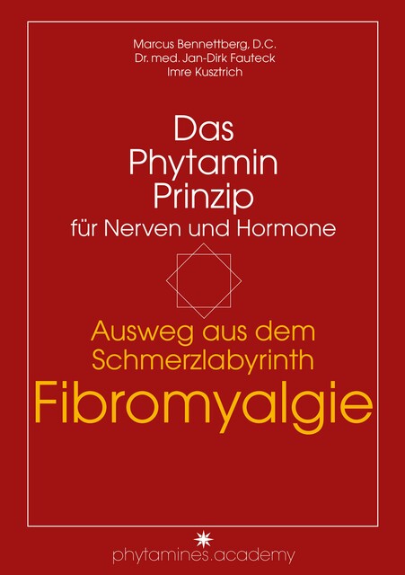 Ausweg aus dem Schmerzlabyrinth Fibromyalgie, D.C., Imre Kusztrich, med. Jan-Dirk Fauteck, Marcus Bennettberg
