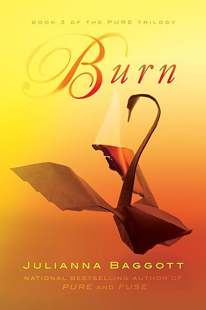 Burn (The Pure Trilogy), Julianna Baggott