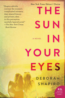 The Sun in Your Eyes, Deborah Shapiro