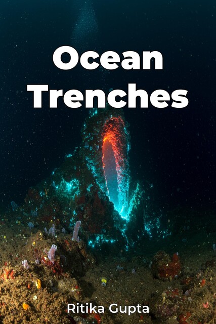 Ocean Trenches, Ritika Gupta