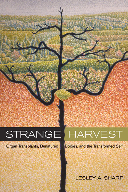Strange Harvest, Lesley A. Sharp