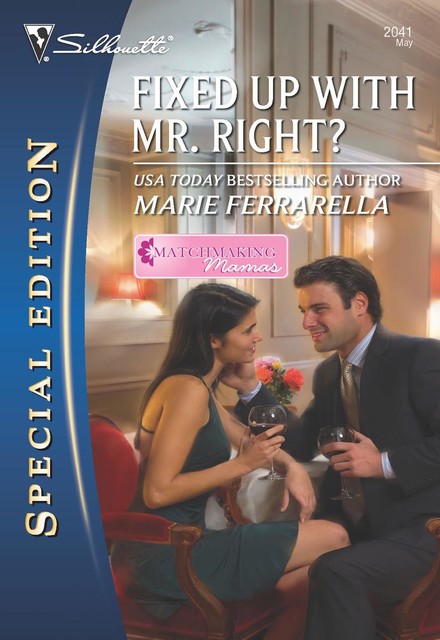Fixed Up with Mr. Right, Marie Ferrarella