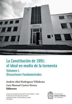 La Constitución de 1991: el ideal en medio de la tormenta, Andrés Abel Rodríguez Villabona, Luis Manuel Castro Novoa