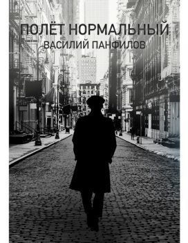 Полет нормальный, Василий Панфилов
