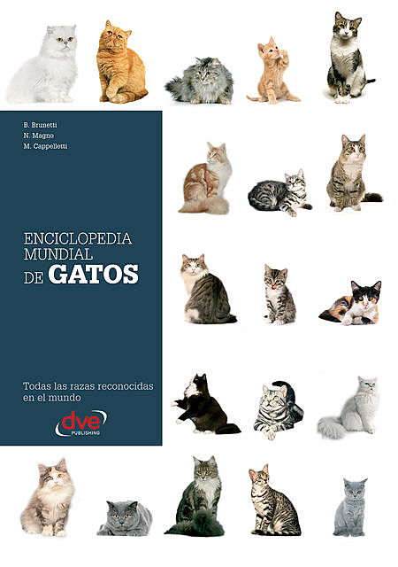 Enciclopedia mundial de gatos, B. Brunetti, M. Cappelletti, N. Magno