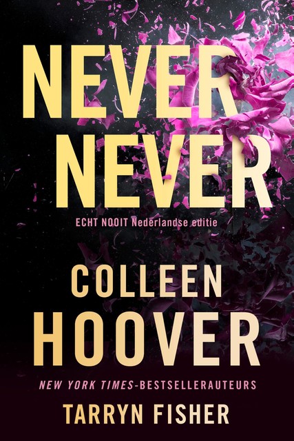 Never never, Colleen Hoover, Tarryn Fisher
