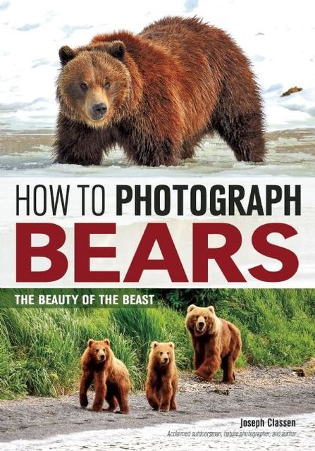How to Photograph Bears, Joseph Classen