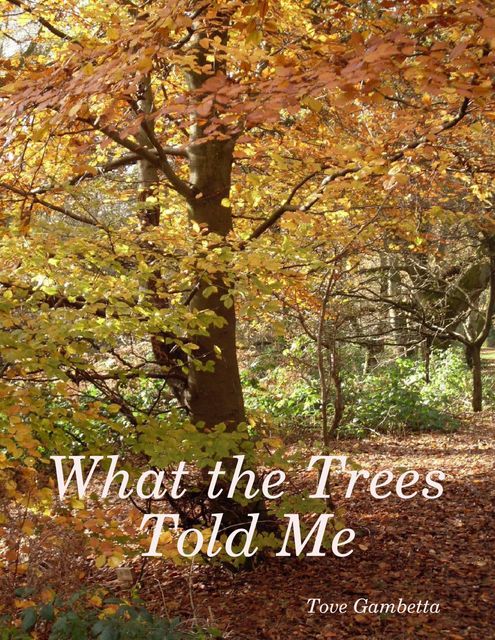 What the Trees Told Me, Tove Gambetta