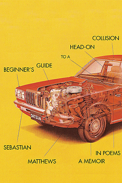 Beginner's Guide to a Head-On Collision, Sebastian Matthews