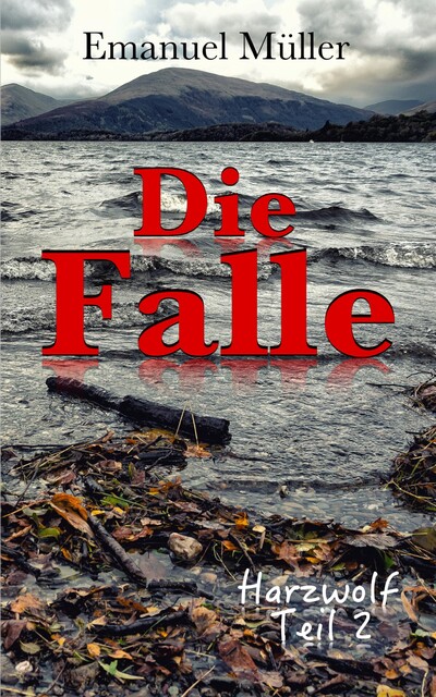 Die Falle, Emanuel Müller