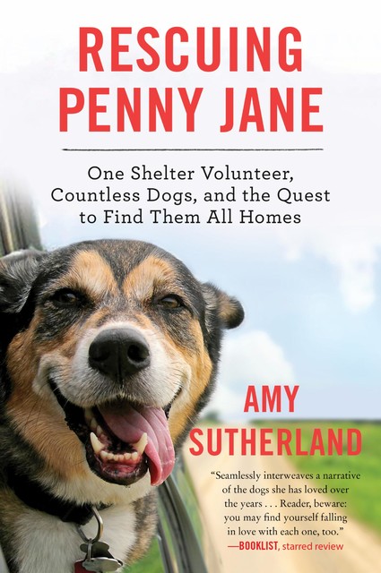 Rescuing Penny Jane, Amy Sutherland