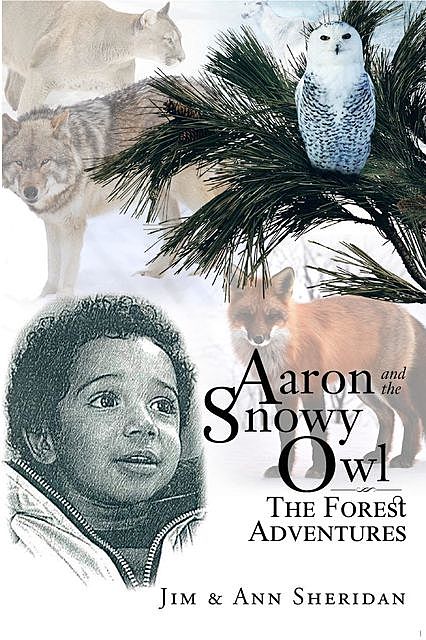 Aaron and the Snowy Owl, amp, Jim, Ann Sheridan