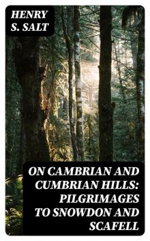 On Cambrian and Cumbrian Hills: Pilgrimages to Snowdon and Scafell, Henry S.Salt