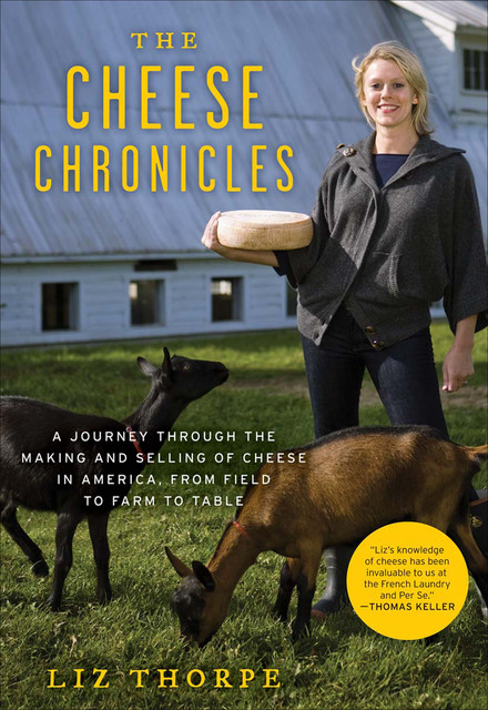 The Cheese Chronicles, Liz Thorpe