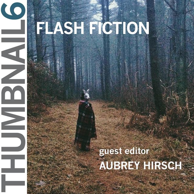 Thumbnail 6: Flash Fiction: Thumbnail Magazine, Aubrey Hirsch