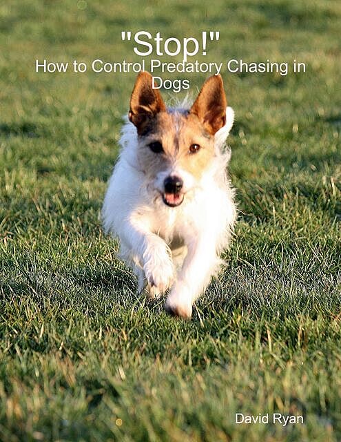 “Stop!”: How to Control Predatory Chasing in Dogs, David Ryan