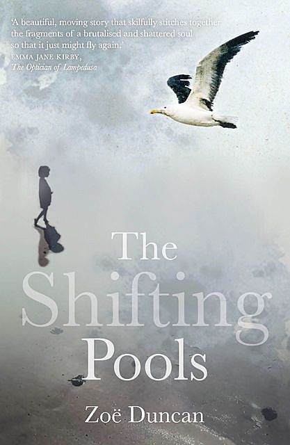 The Shifting Pools, Duncan Zoe